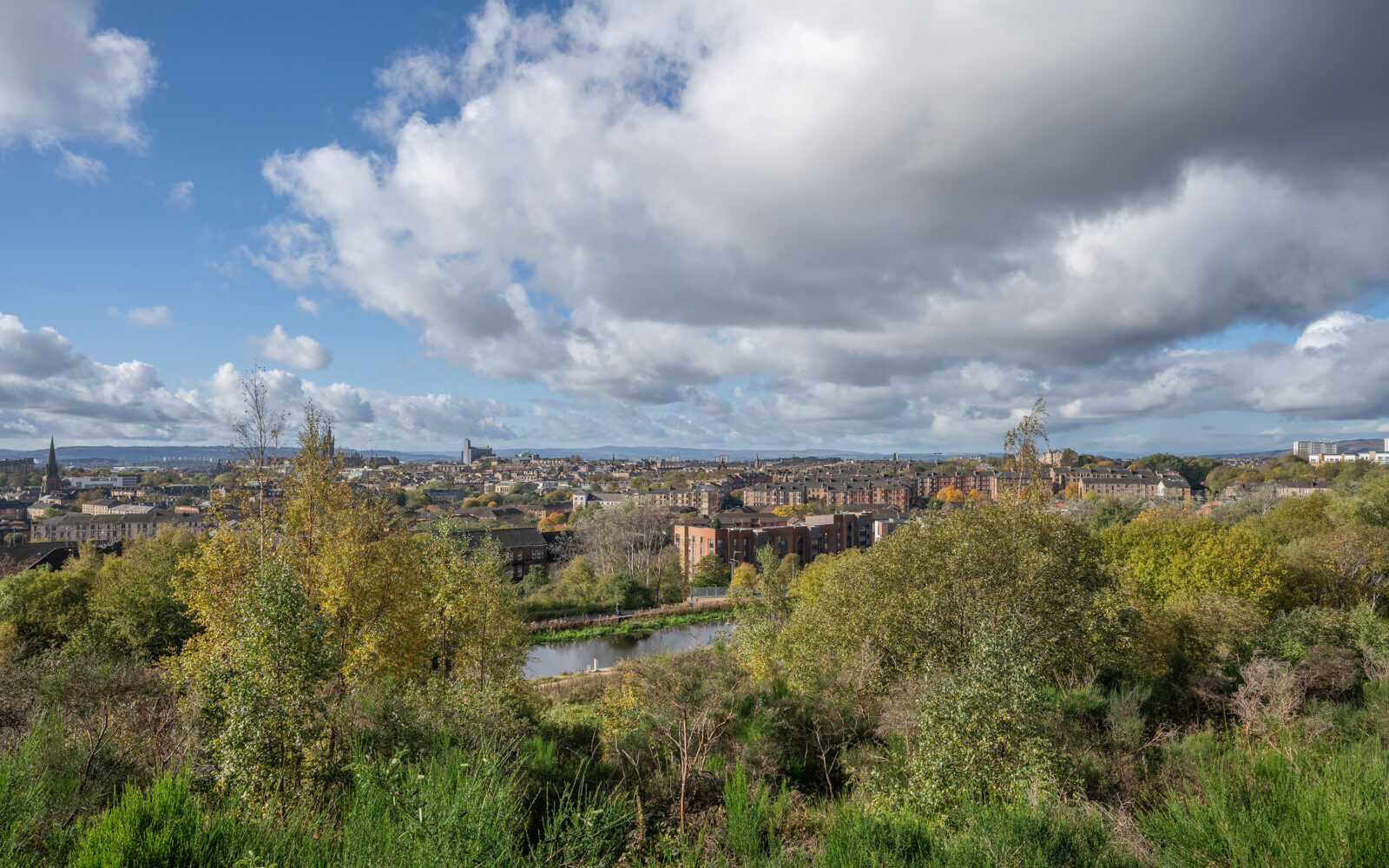 Hamiltonhill Claypits - Community Action | Scottish Wildlife Trust