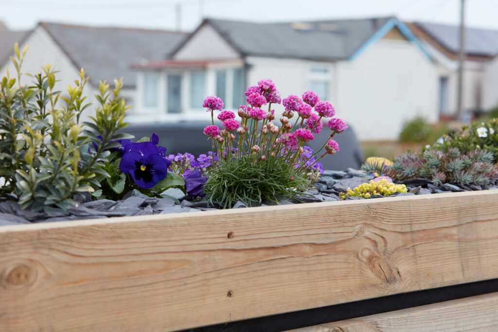 Flowers in a wooden container with houses in the background.