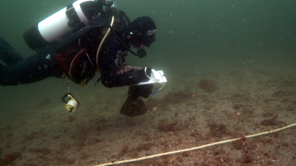 A diver carrying out a survey on the seabed.