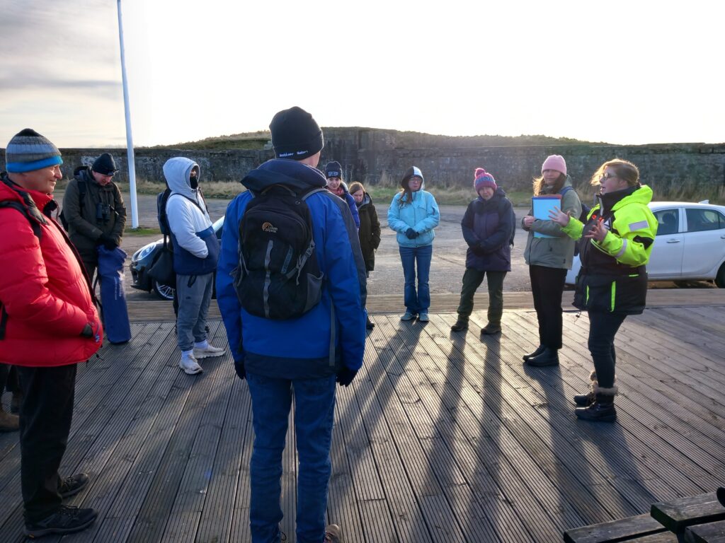 A group of people stand on an outdoors wooden platform on a cold day, the sun setting behind them