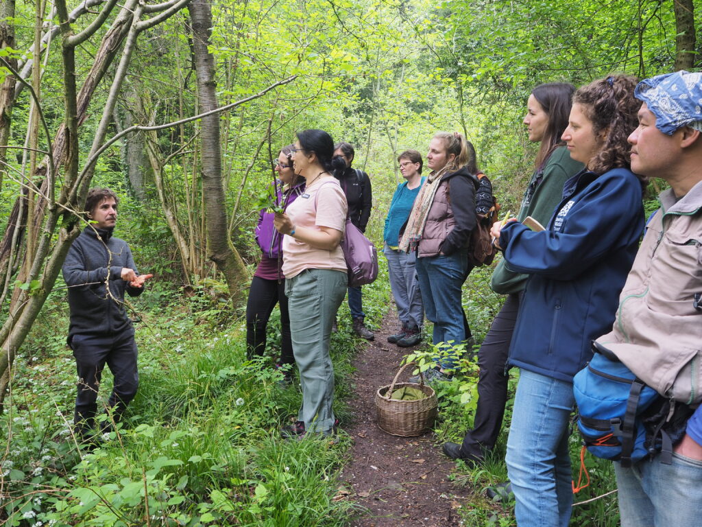 A group of people stand on a path in the woodlands, facing someone who is talking