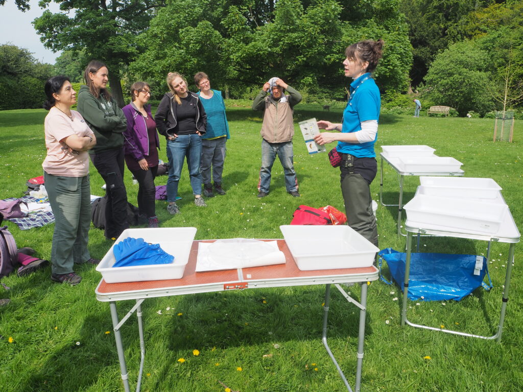 A group of people standing and facing eachother in a green grassy field with some tables laid out near them