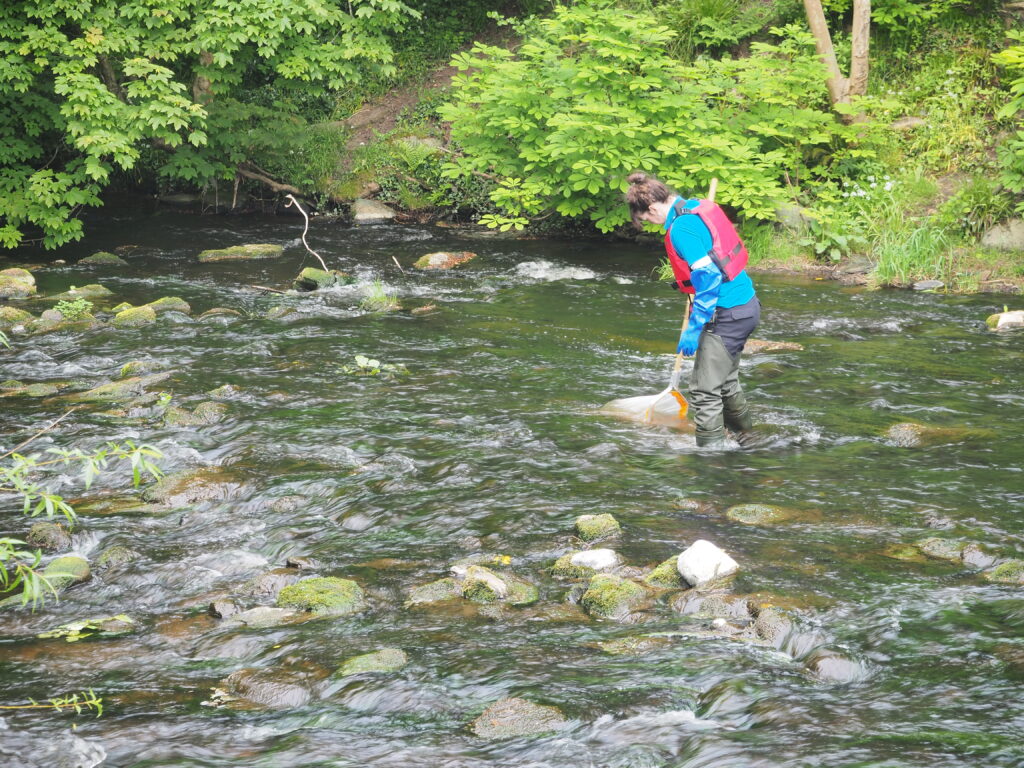 A person stands in a shallow river, scooping water with a large net