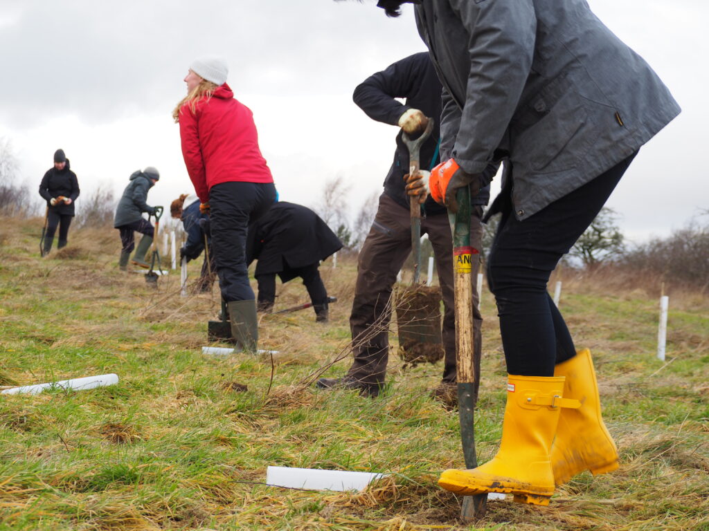 A group of people working outside, using spades to dig into the grass